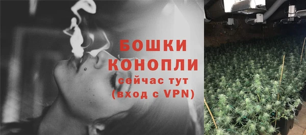 ГАЛЛЮЦИНОГЕННЫЕ ГРИБЫ Балахна