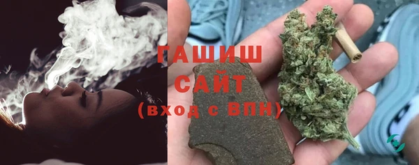 PSILOCYBIN Белокуриха